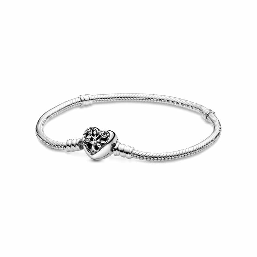 Pandora Armband Moments 598827C01-16