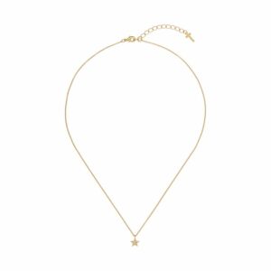 Ted Baker Kette TBJ3182-02-02