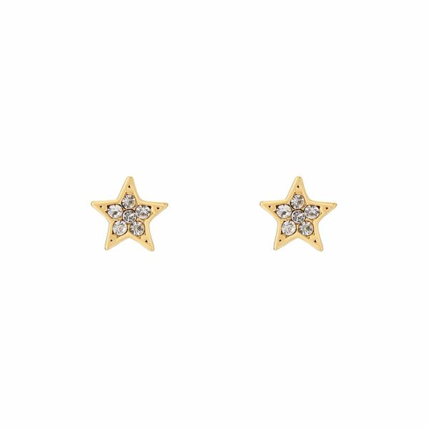 Ted Baker Ohrstecker TBJ3184-02-02